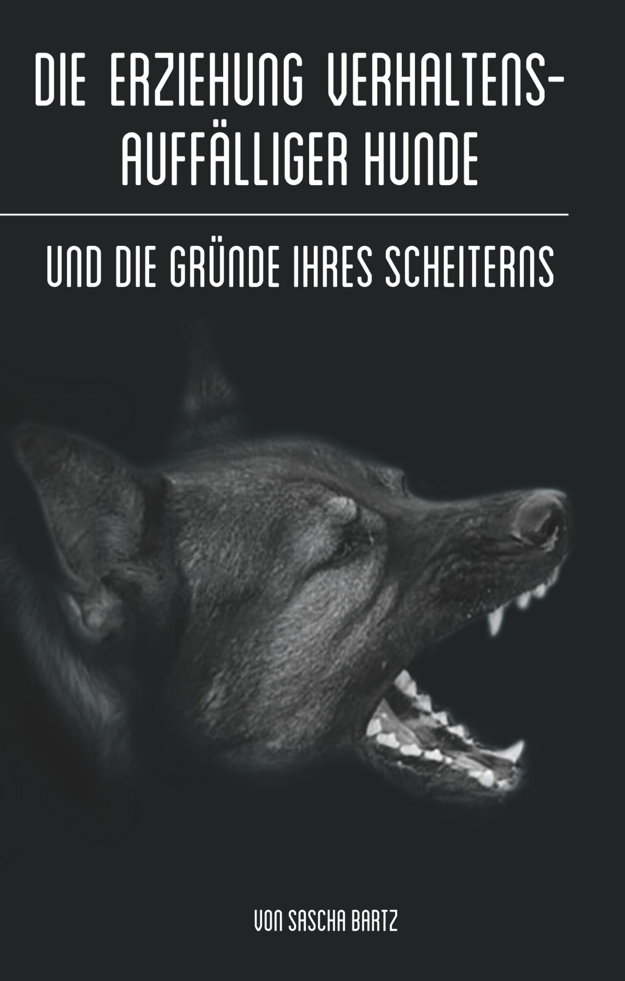 Hundetrainer Für Problemhunde In Der Nähe